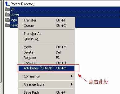 阿里云虚拟主机修改文件夹的读写属性为777